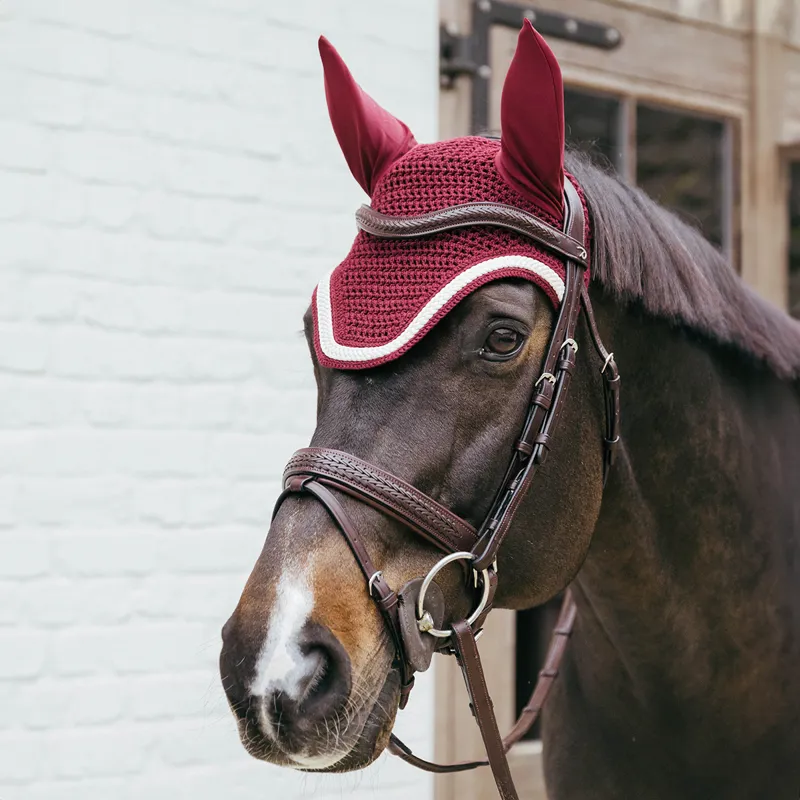 Kentucky Wellington Plaited Cord Fly Veil - Bordeaux-1
