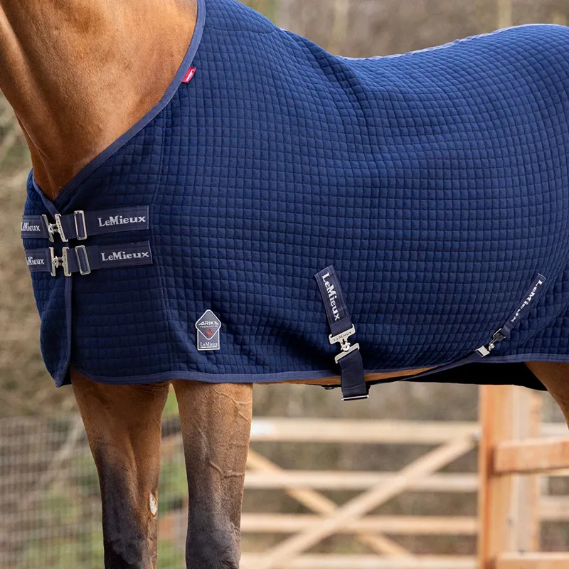 LeMieux Arika Clima-Tek Rug - Navy-1