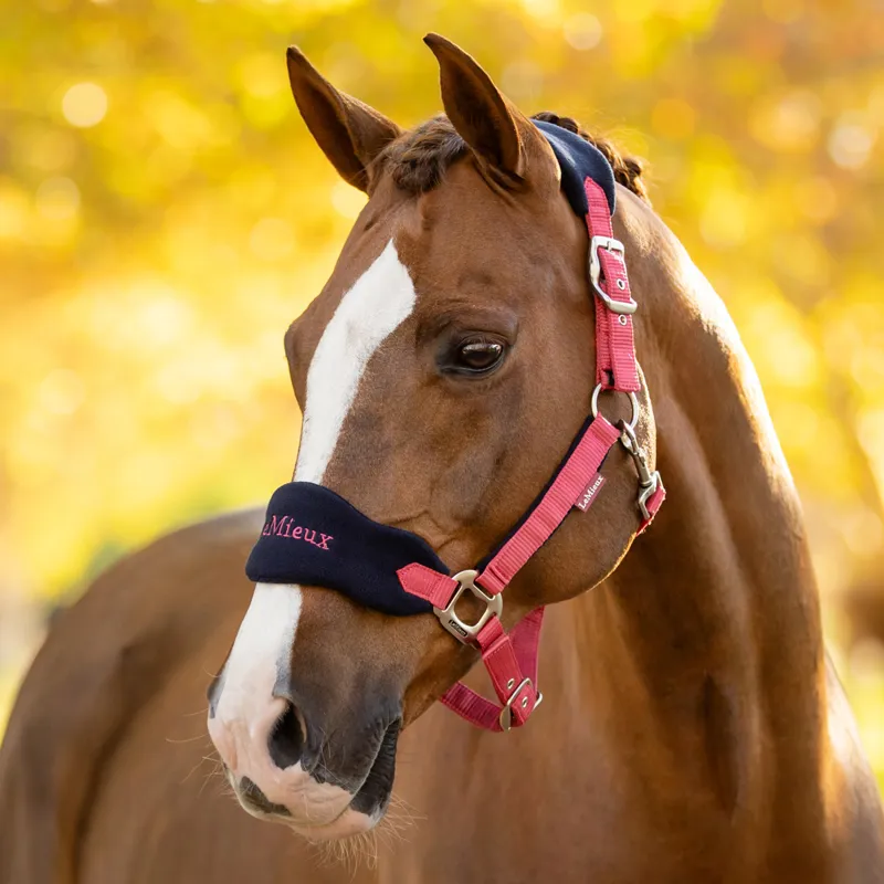LeMieux Vogue Headcollar and Lead Rope Set - Cranberry-1