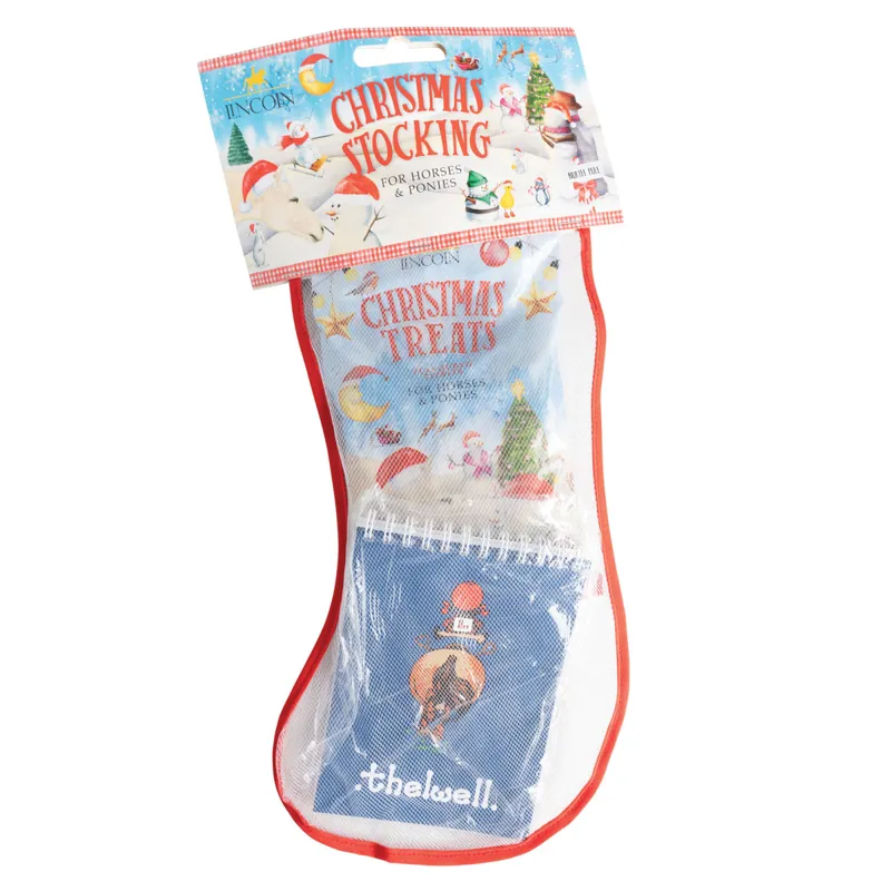 Lincoln Pony Mad Christmas Stocking