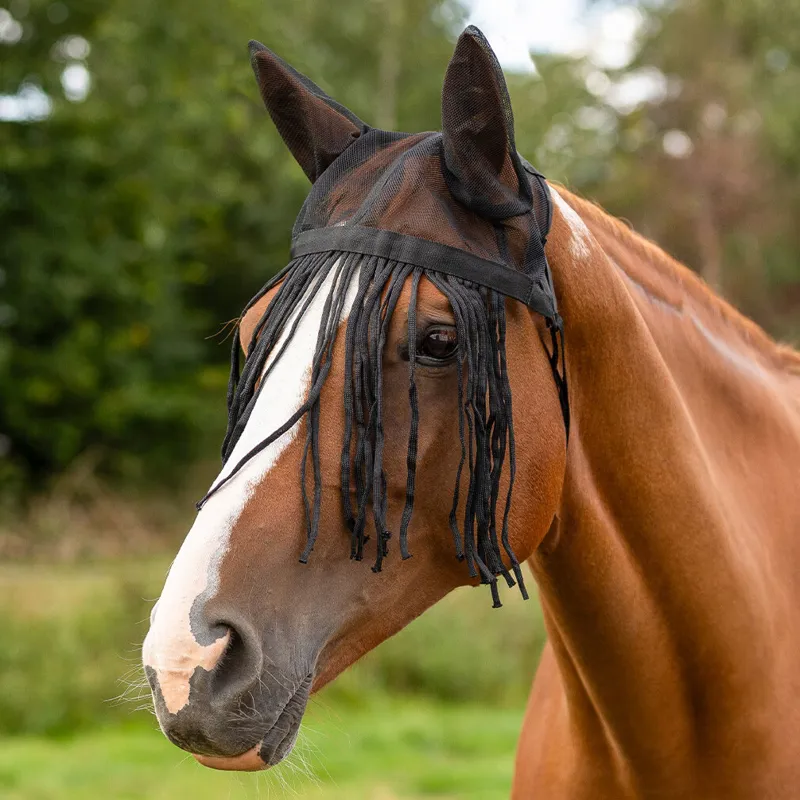 QHP Anti-Fly Fringe With Ears - Black