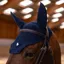 Samshield FlyShield Embroidery Fly Veil - Blue