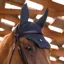 Samshield FlyShield Swarovski Fly Veil - Anthracite