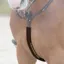 Schockemohle Body Guard Breastplate Cover - Espresso