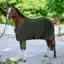 Tommy Hilfiger Stanford Fleece Rug - Pine