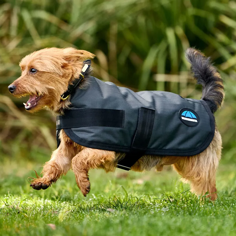 WeatherBeeta ComFiTec Classic Waterproof Dog Coat - Charcoal
