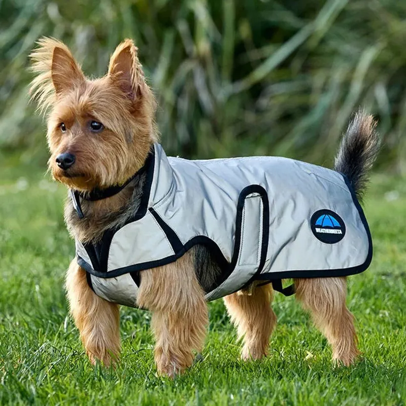 WeatherBeeta ComFiTec Reflective Showerproof Dog Coat - Silver