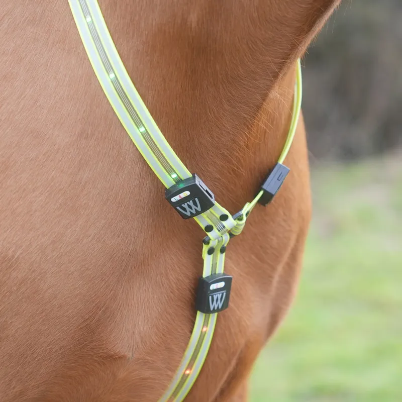 Woof Wear LED Neck Band - Yellow-6