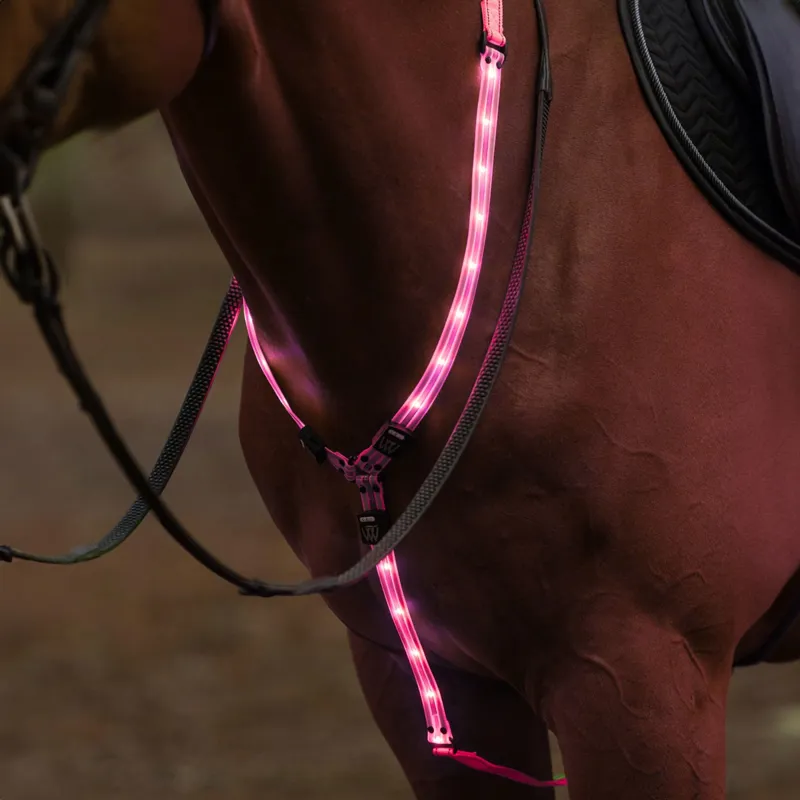 Woof Wear LED Neck Band - Pink
