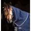 Rhino 200g Stable Hood - Navy/Titanium Grey and Classic Blue