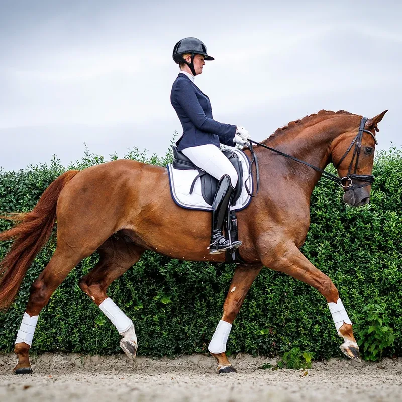 Schockemohle Eco Comfort Dressage Saddlecloth - White-1