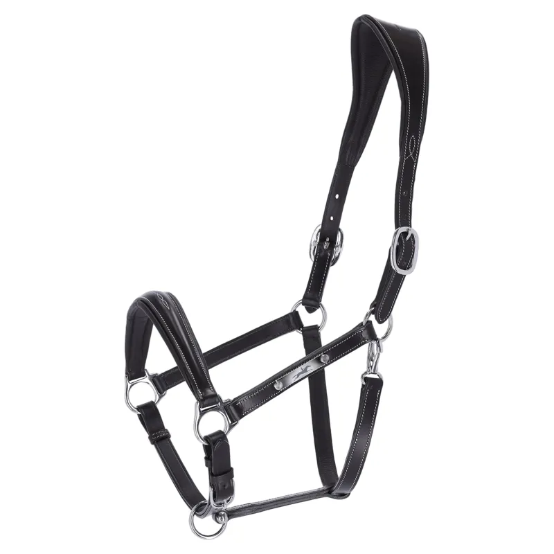 Schockemohle Frisco Leather Headcollar - Black