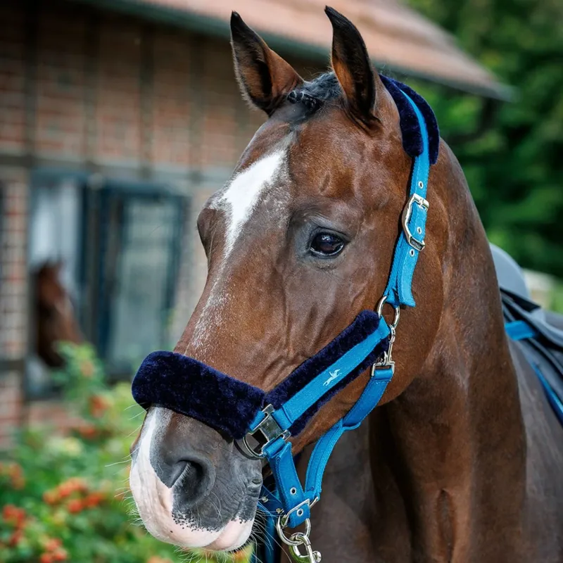 Schockemohle Melbourne Soft Style Headcollar - Colonial Blue-1