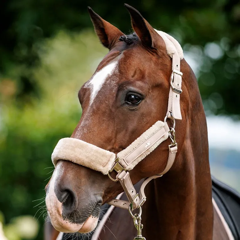 Schockemohle Melbourne Soft Style Headcollar - Stone-1