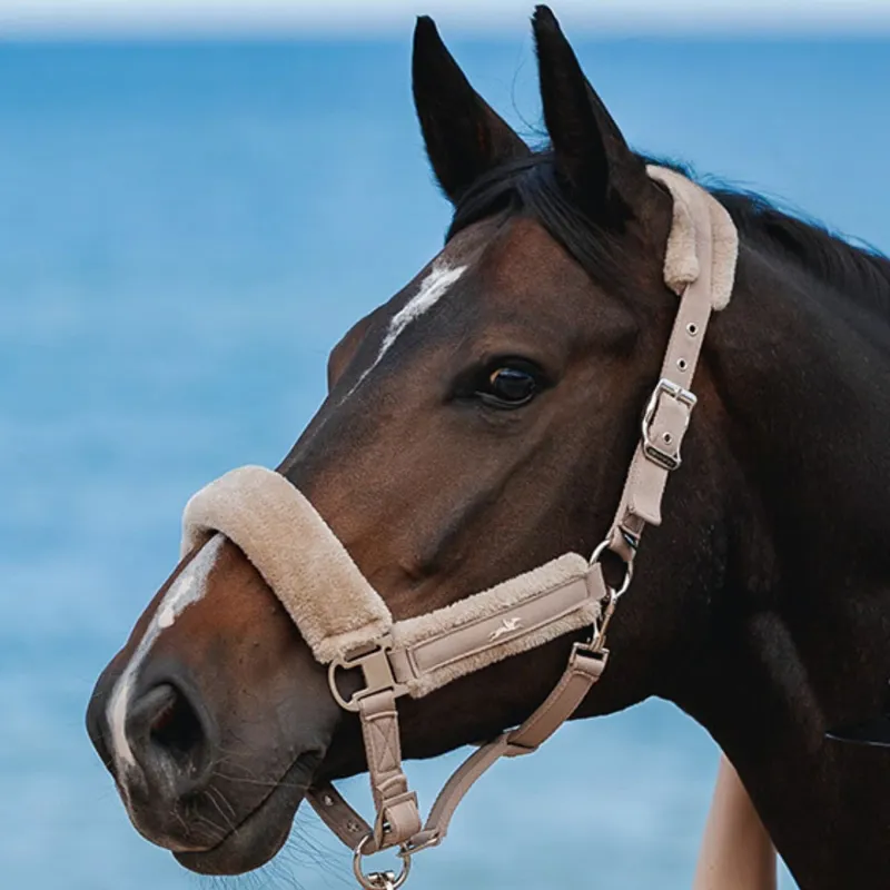 Schockemohle Melbourne Soft Style Headcollar - Stone-2