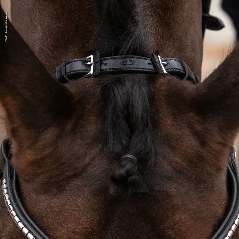 Schockemohle Equitus Rho Anatomic Headpiece - Black-1