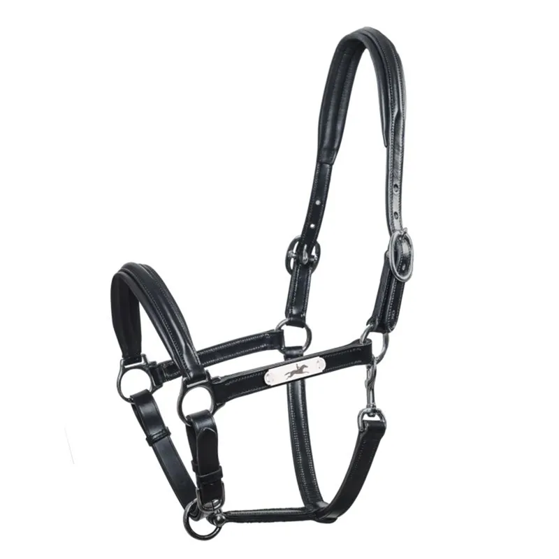 Schockemohle Ulm Pro Leather Headcollar - Black/Silver