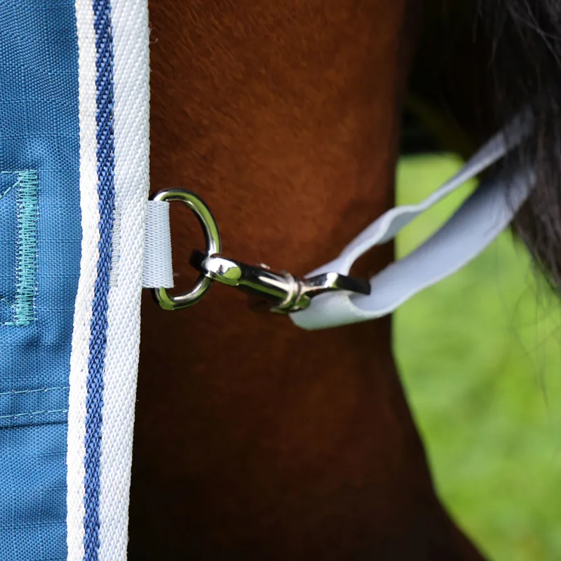 Shires Highlander Original 50g Combo Neck Turnout Rug - Ocean-3