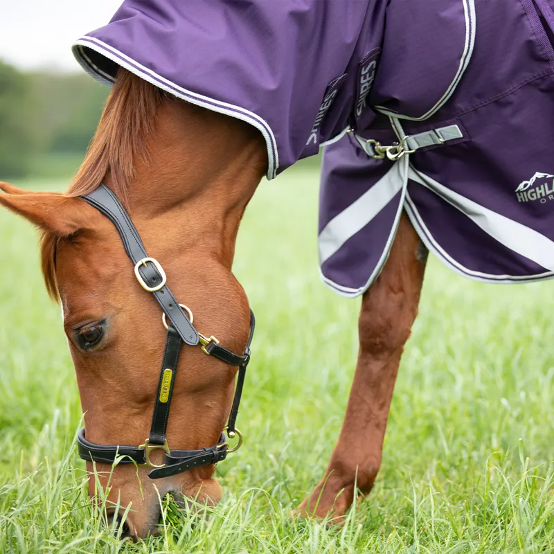 Shires Highlander Original 100g Detach-A-Neck Turnout Rug - Plum-6