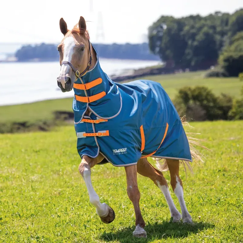 Shires Tempest Original Lite 0g Detachable Neck Turnout Rug - Teal