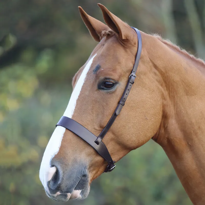 Velociti GARA Hunter Cavesson Noseband - Brown