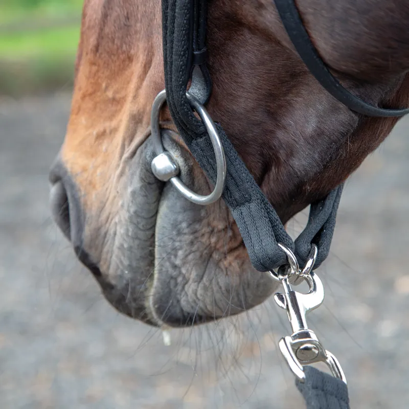 Shires Lunging Adapter - Black-1