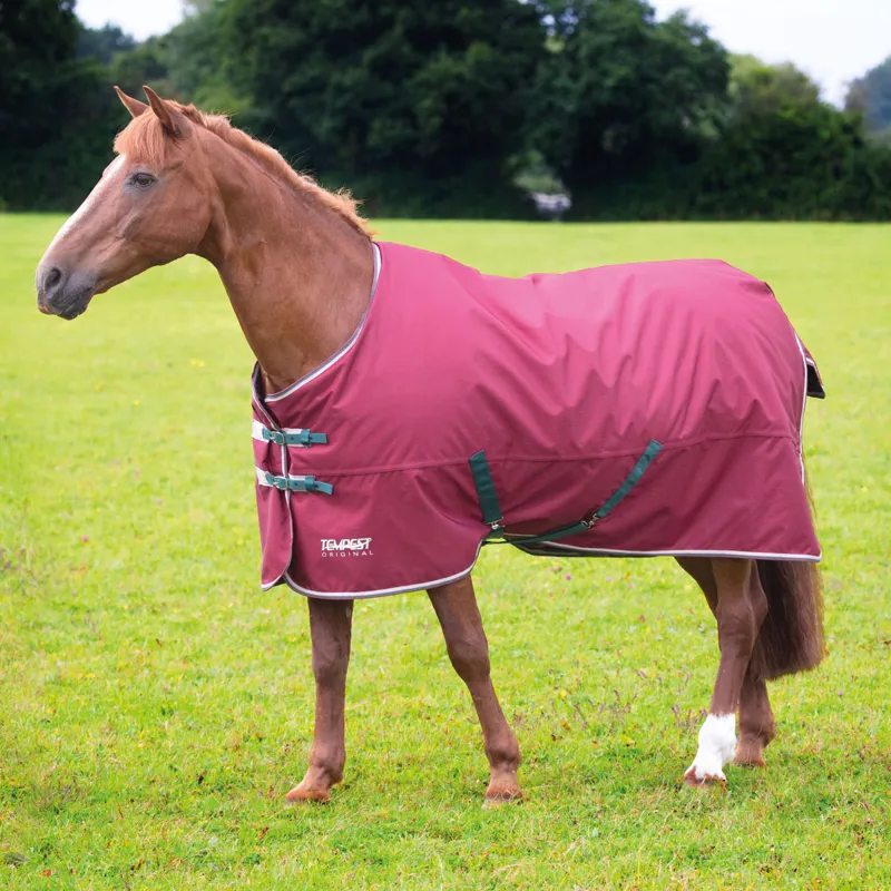 Shires Tempest Original 200g Standard Neck Turnout Rug - Maroon
