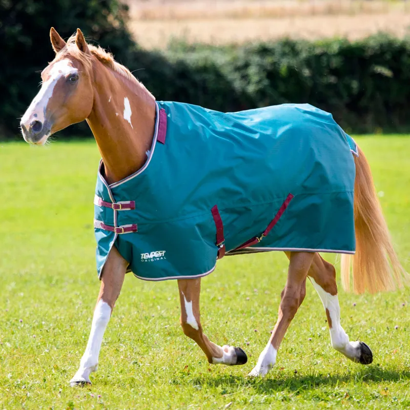 Shires Tempest Original 200g Detachable Neck Turnout Rug - Green-3