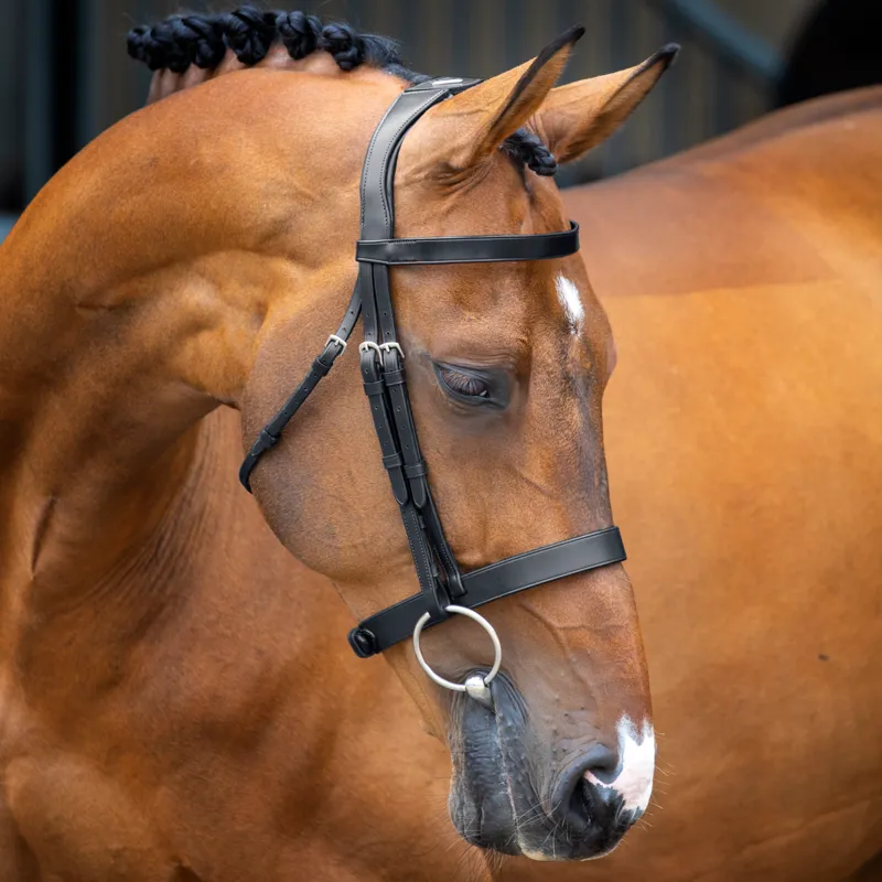Velociti Lusso Hunter Cavesson Bridle - Black