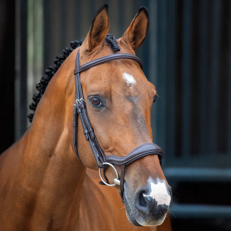 Velociti Lusso Ergonomic Flash Bridle - Havana