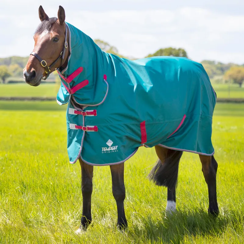 Shires Tempest Original Air Motion 0g Combo Turnout Rug - Green-3