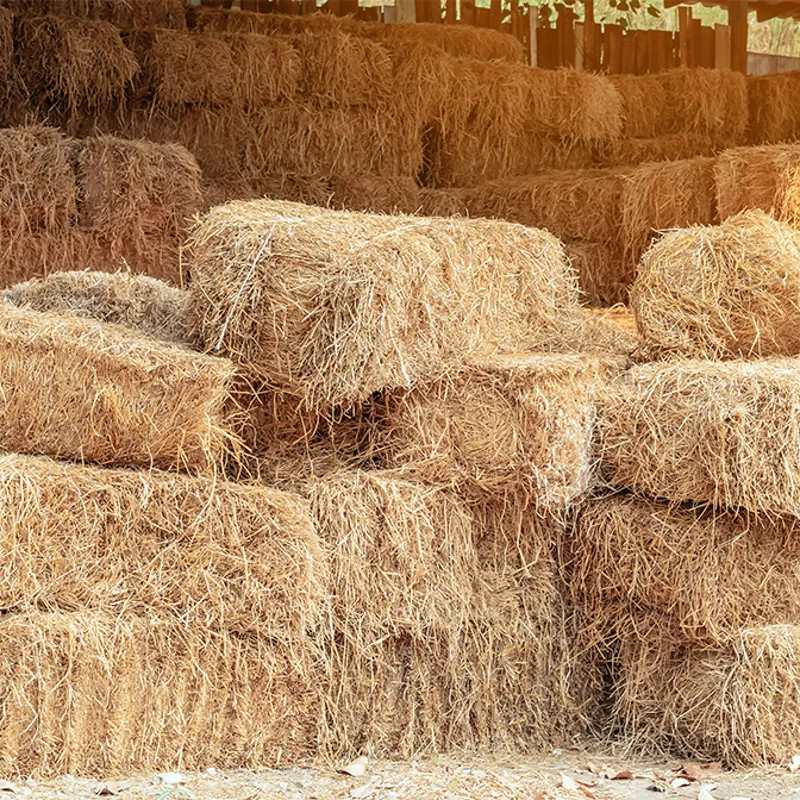 Small 2026 Harvest Hay Bale-1