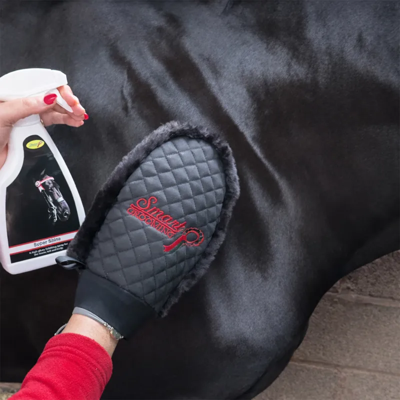 Smart Grooming Coat Sheen and Quilted Mitt Bundle-1