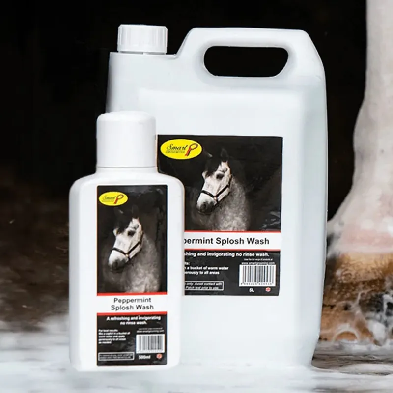 Smart Grooming Peppermint Splosh Wash