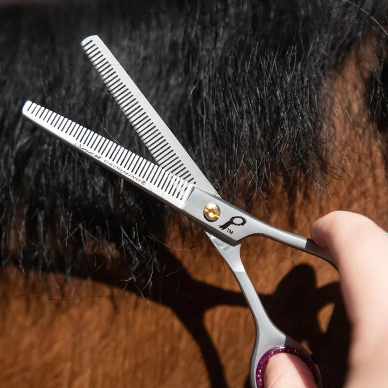 Smart Grooming Double Leg Thinning Scissors - 6in-2