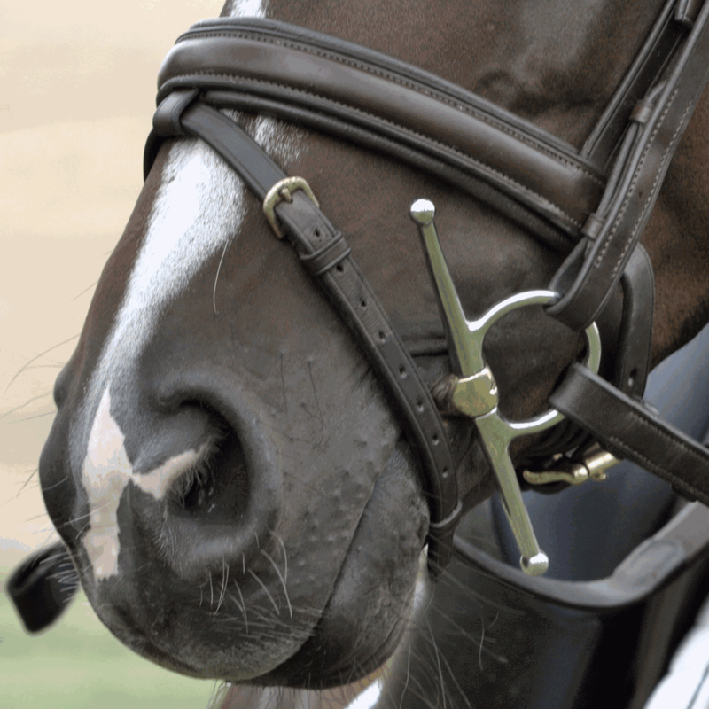Sprenger Dynamic RS Double Jointed Full Cheek Sensogan Snaffle Bit - 16mm-3