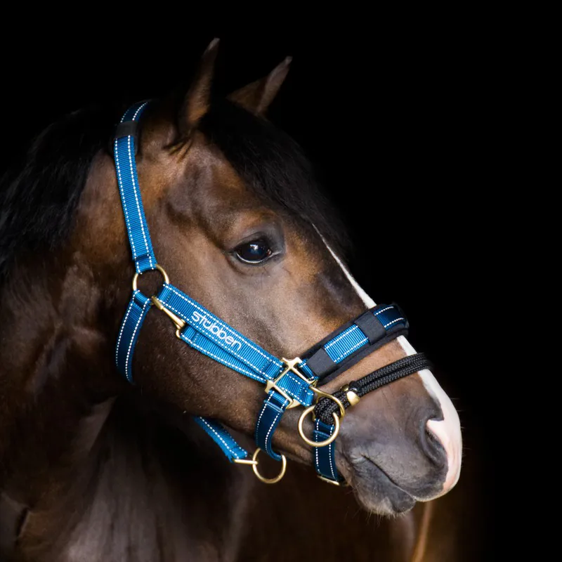 Stubben Padded Memory Foam Headpiece and Noseband Guards - Black-1
