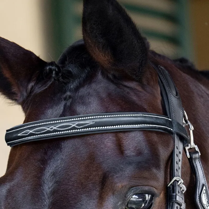 Equiline BB0417 Flat Padded Leather Browband with Stitching - Black-2