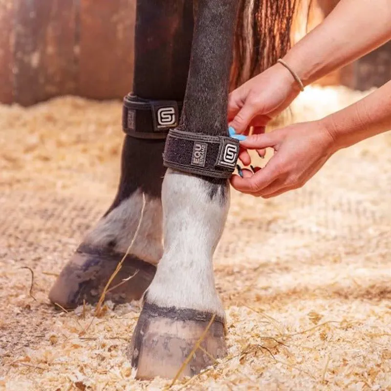 Streamz Global EQU StreamZ Magnetic Horse Bands - Pair-1