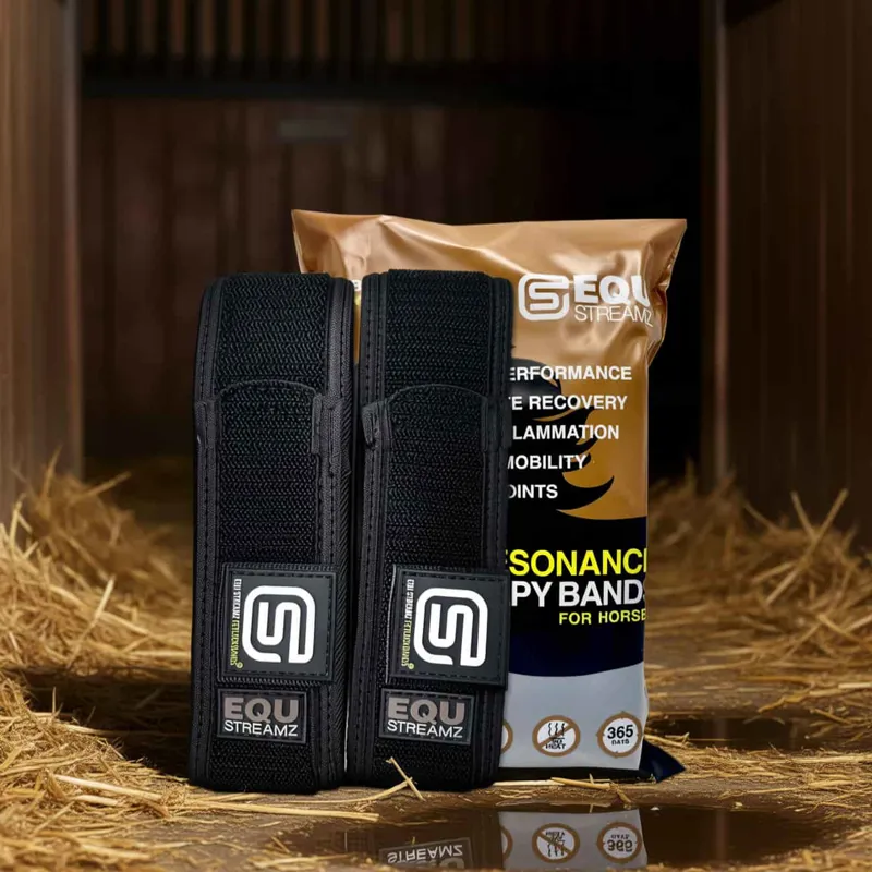 Streamz Global EQU StreamZ Magnetic Horse Bands - Pair-2