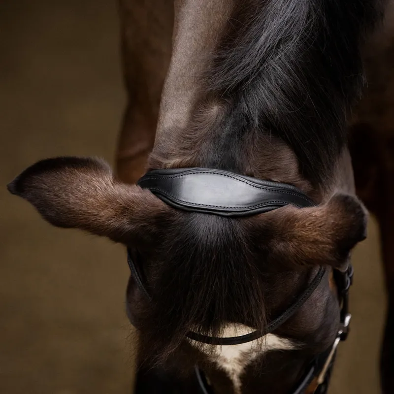 Stubben Sligo Slide/Lock Combined Flash 2705 Bridle - Black-2
