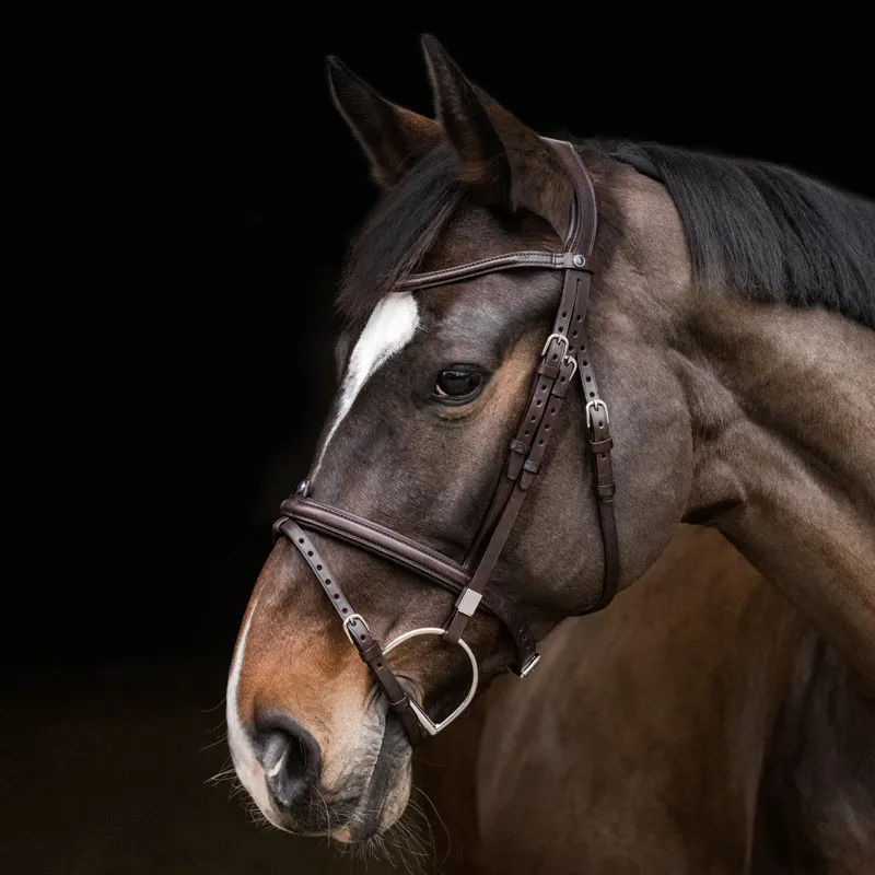 Stubben Sligo Slide/Lock Combined Flash 2705 Bridle - Ebony Brown-1