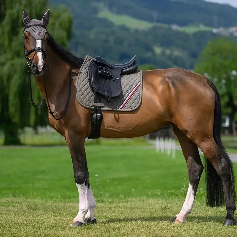 Tommy Hilfiger Stanford Dressage Saddlecloth - Ash-2