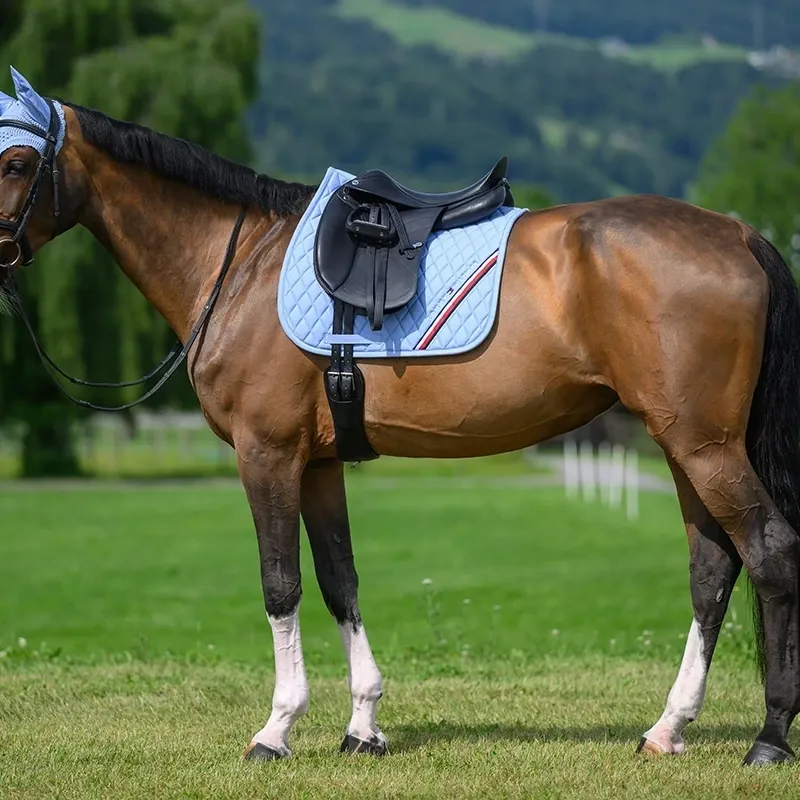 Tommy Hilfiger Stanford Dressage Saddlecloth - Sweet Blue-5