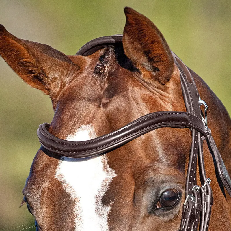 Equiline BB0426 U Shaped Browband - Brown-2