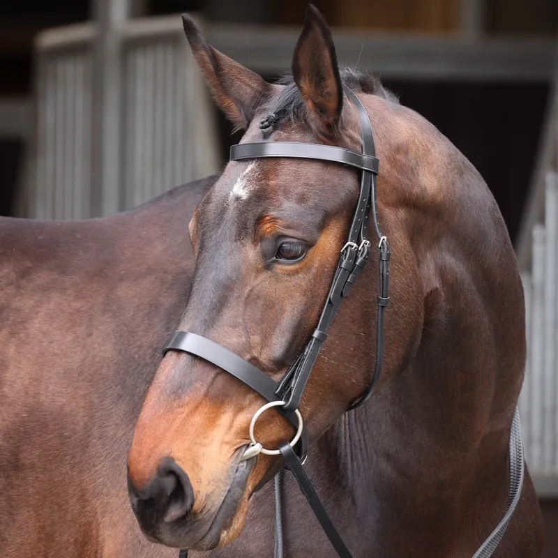 Velociti GARA Plain Bridle with Reins - Black
