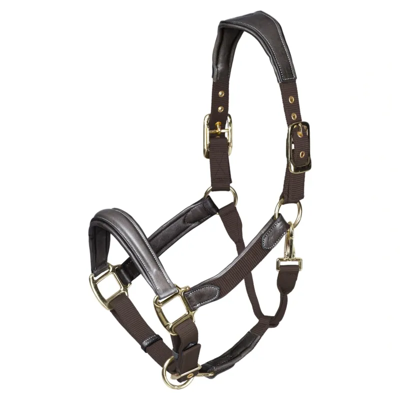 Velociti Lusso Padded Leather Headcollar - Havana