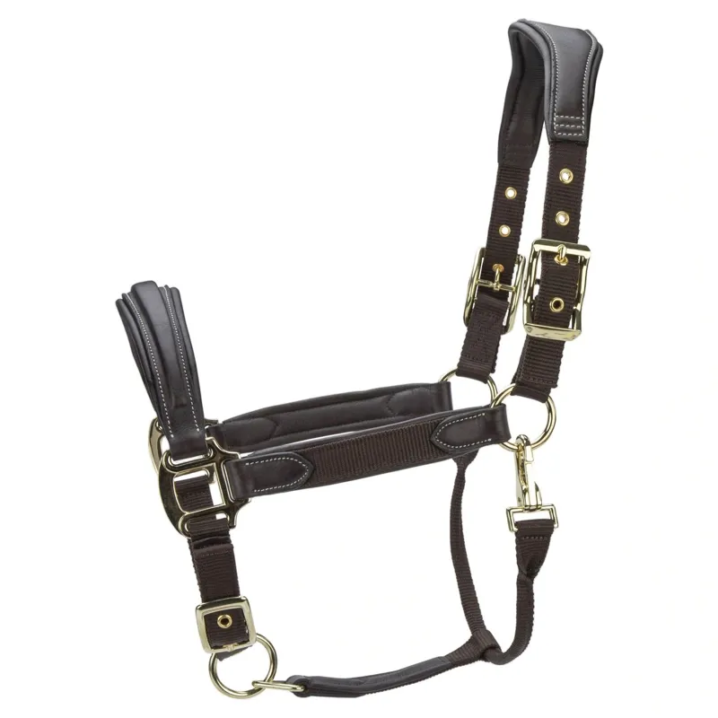 Velociti Lusso Padded Leather Headcollar - Havana-1