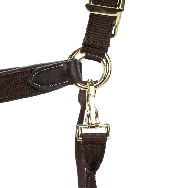 Velociti Lusso Padded Leather Headcollar - Havana-5