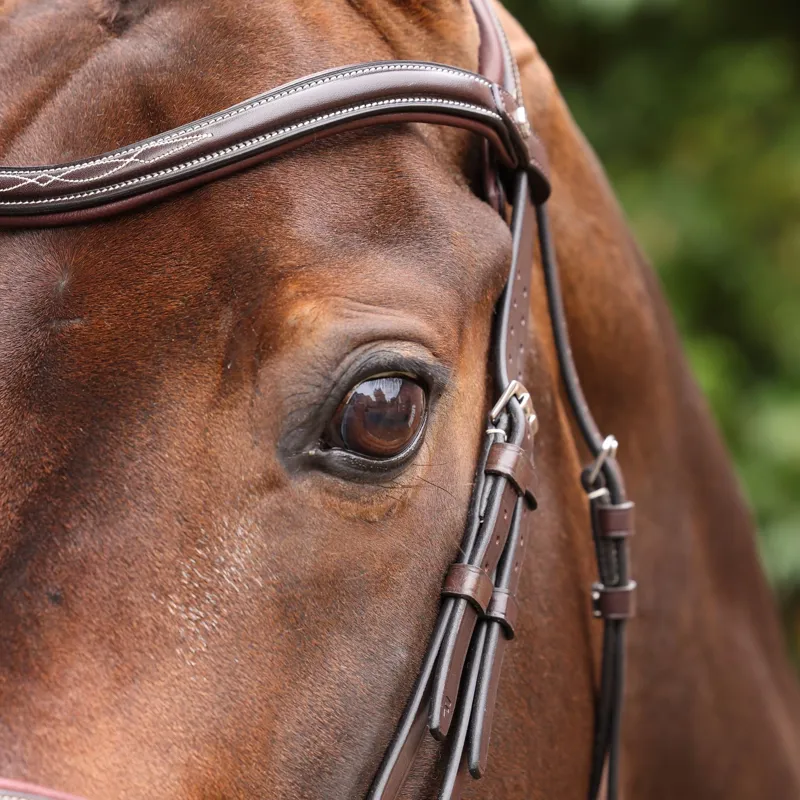 Velociti Lusso Opus 180M Dressage Cavesson Bridle - Havana-6